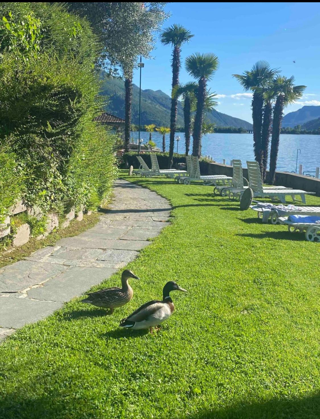 Bellavista Apartment Bissone Kültér fotó